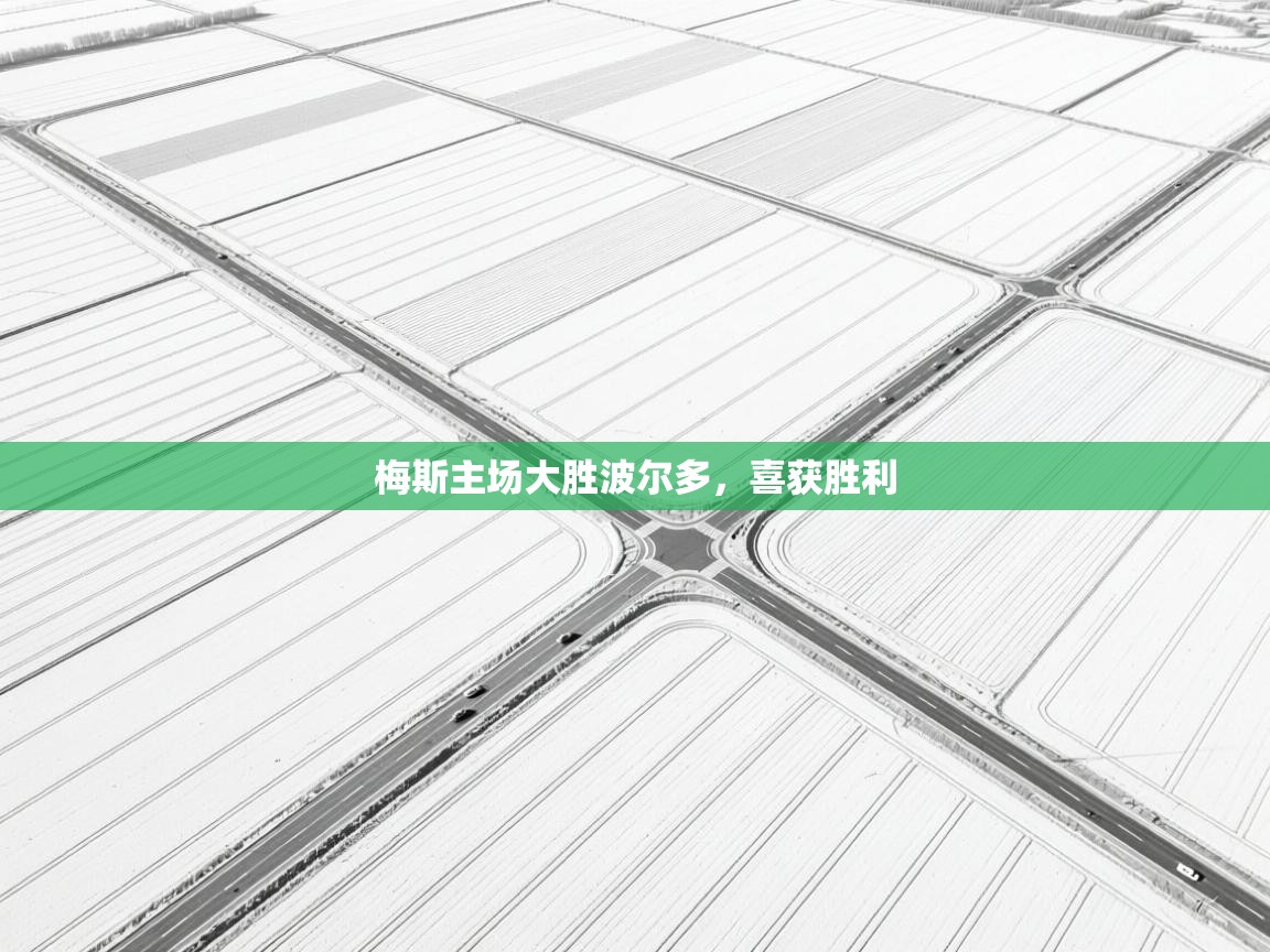 梅斯主场大胜波尔多，喜获胜利  第1张