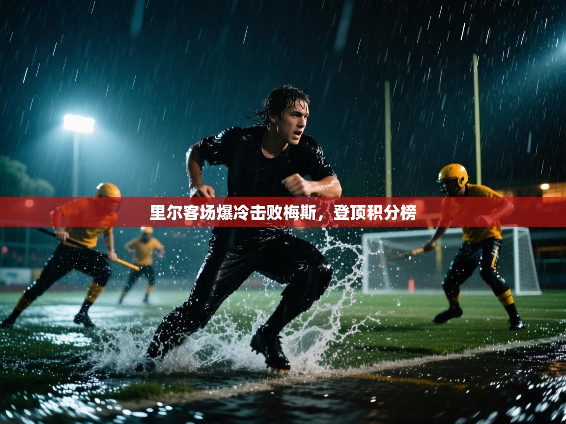 里尔客场爆冷击败梅斯，登顶积分榜  第2张