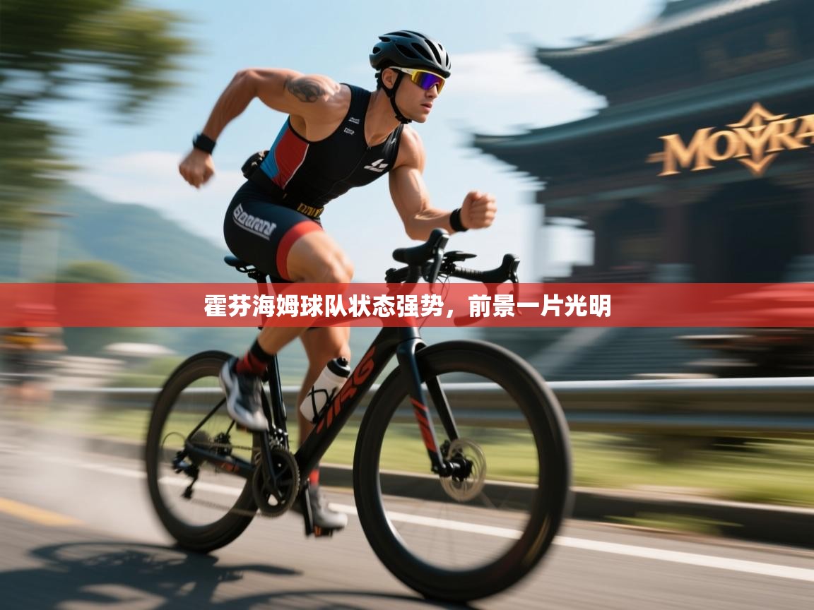 霍芬海姆球队状态强势，前景一片光明  第1张